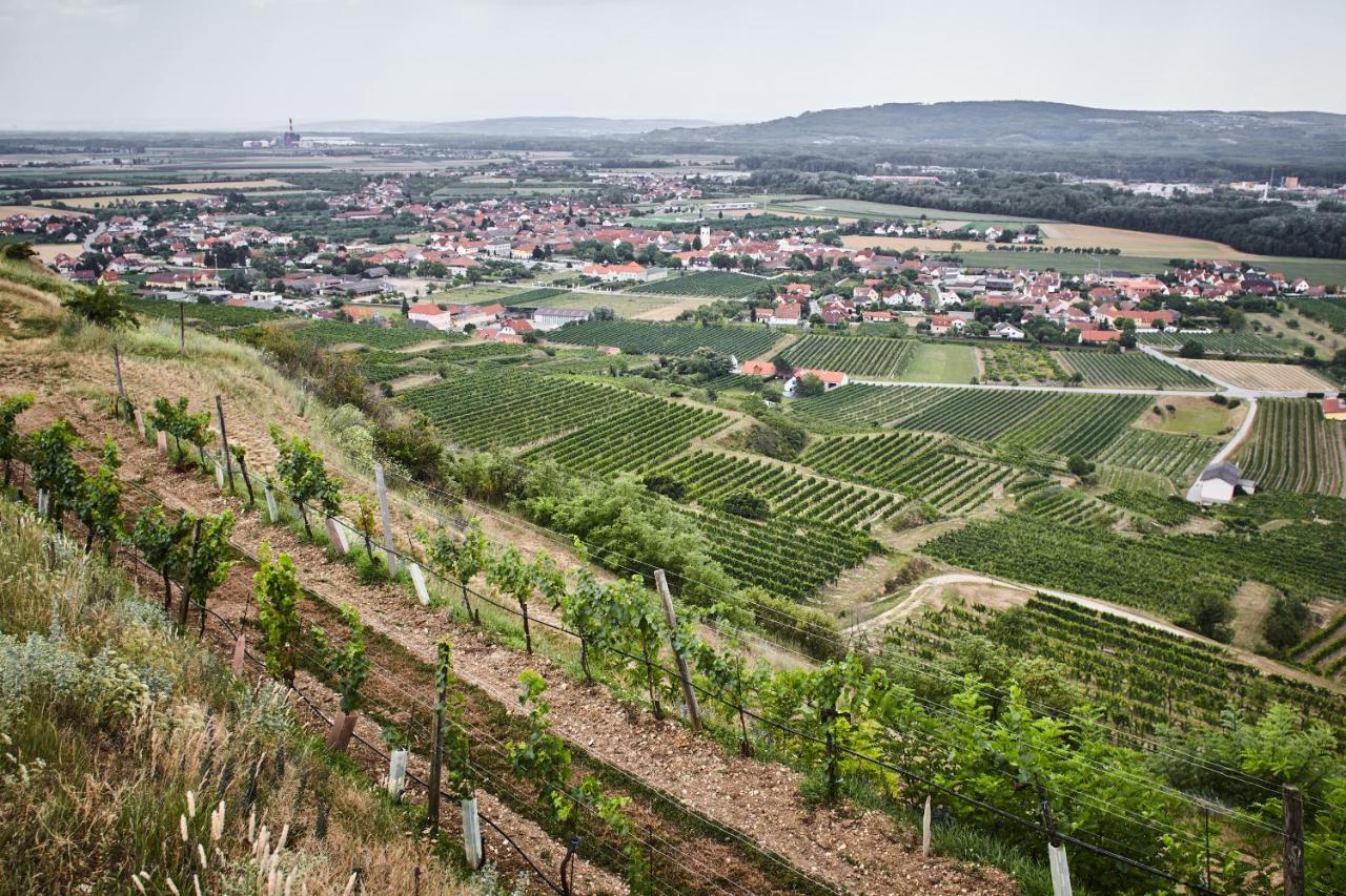 Schmankerl Und Gast Bed and Breakfast Rohrendorf bei Krems Esterno foto